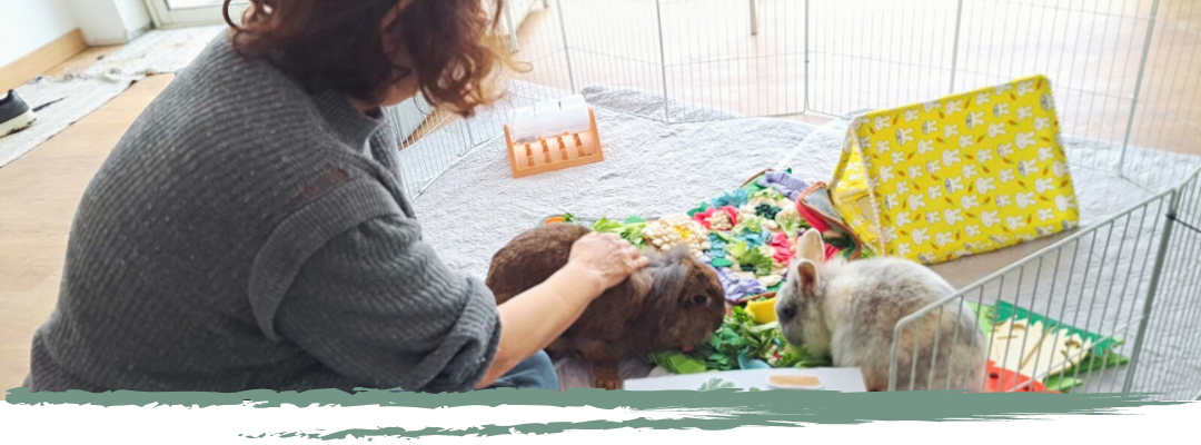 mediation animale zoothérapie individuel