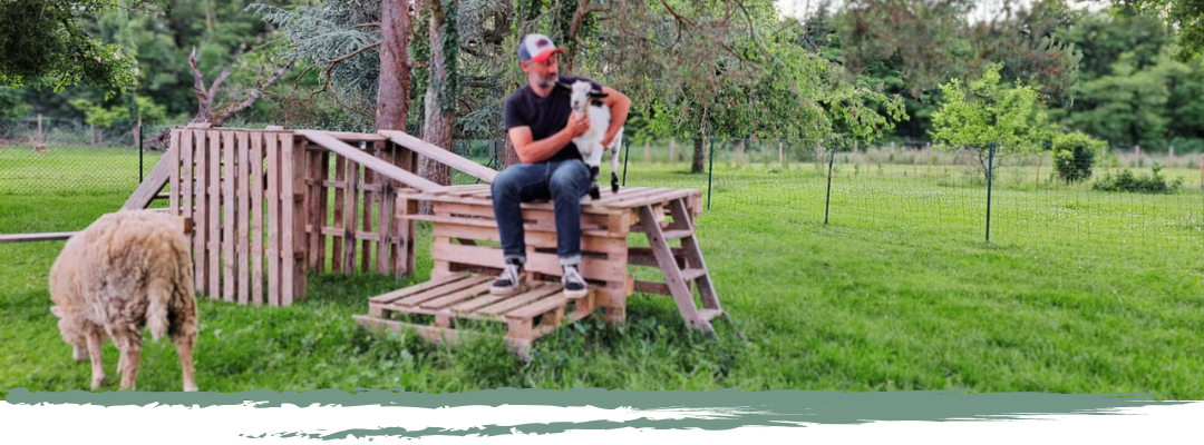 accueil sur site médiation animale zoothérapie