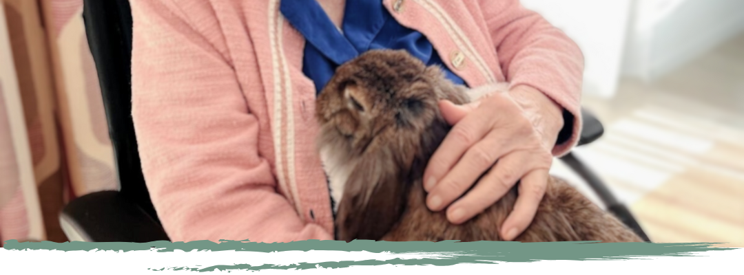 mediation animale ehpad